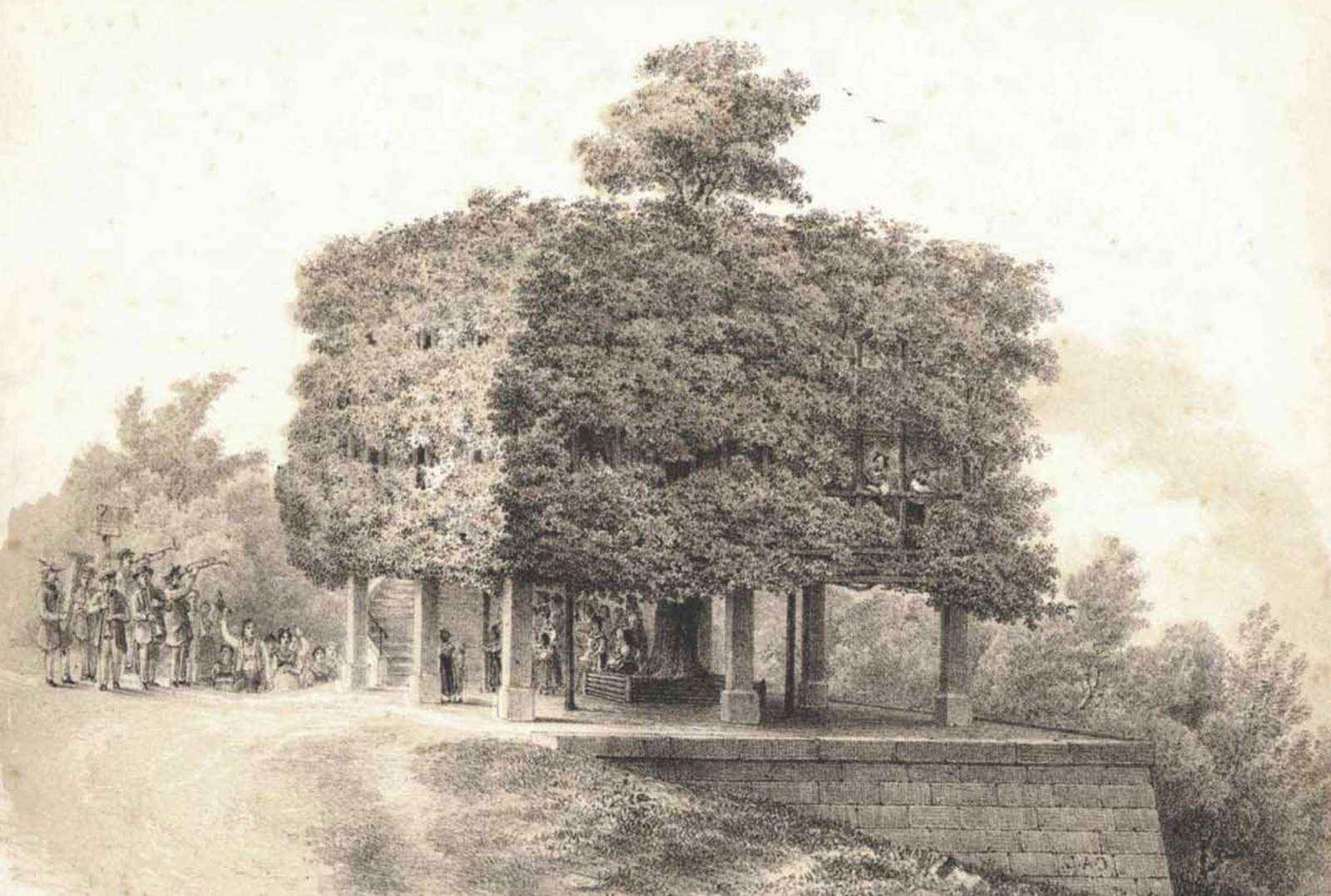 Tanzlinde (dancing lime tree) Peesten (Foto: landschaftsmuseum.de)