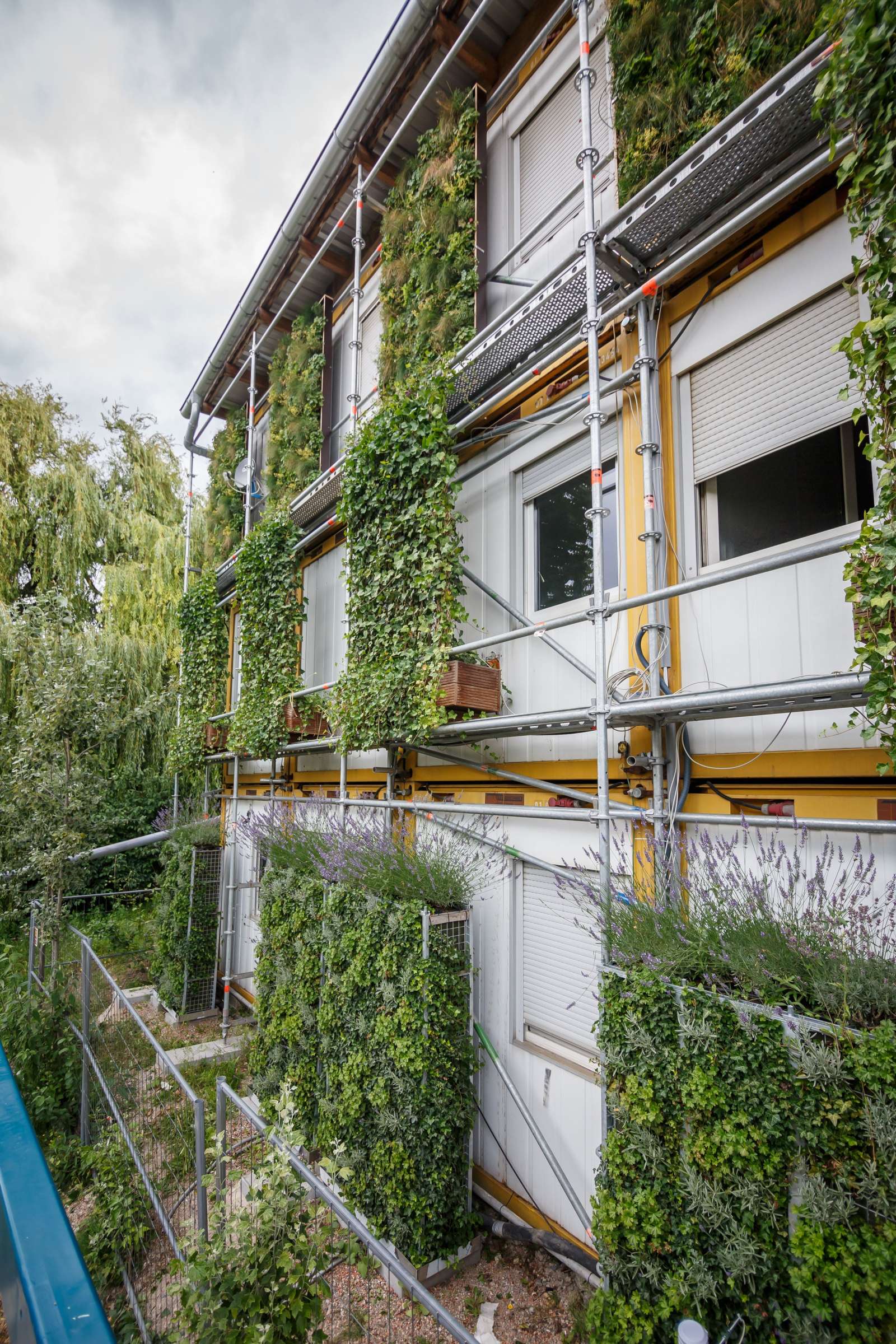 Different greening systems (Photo: Julian Rettig)