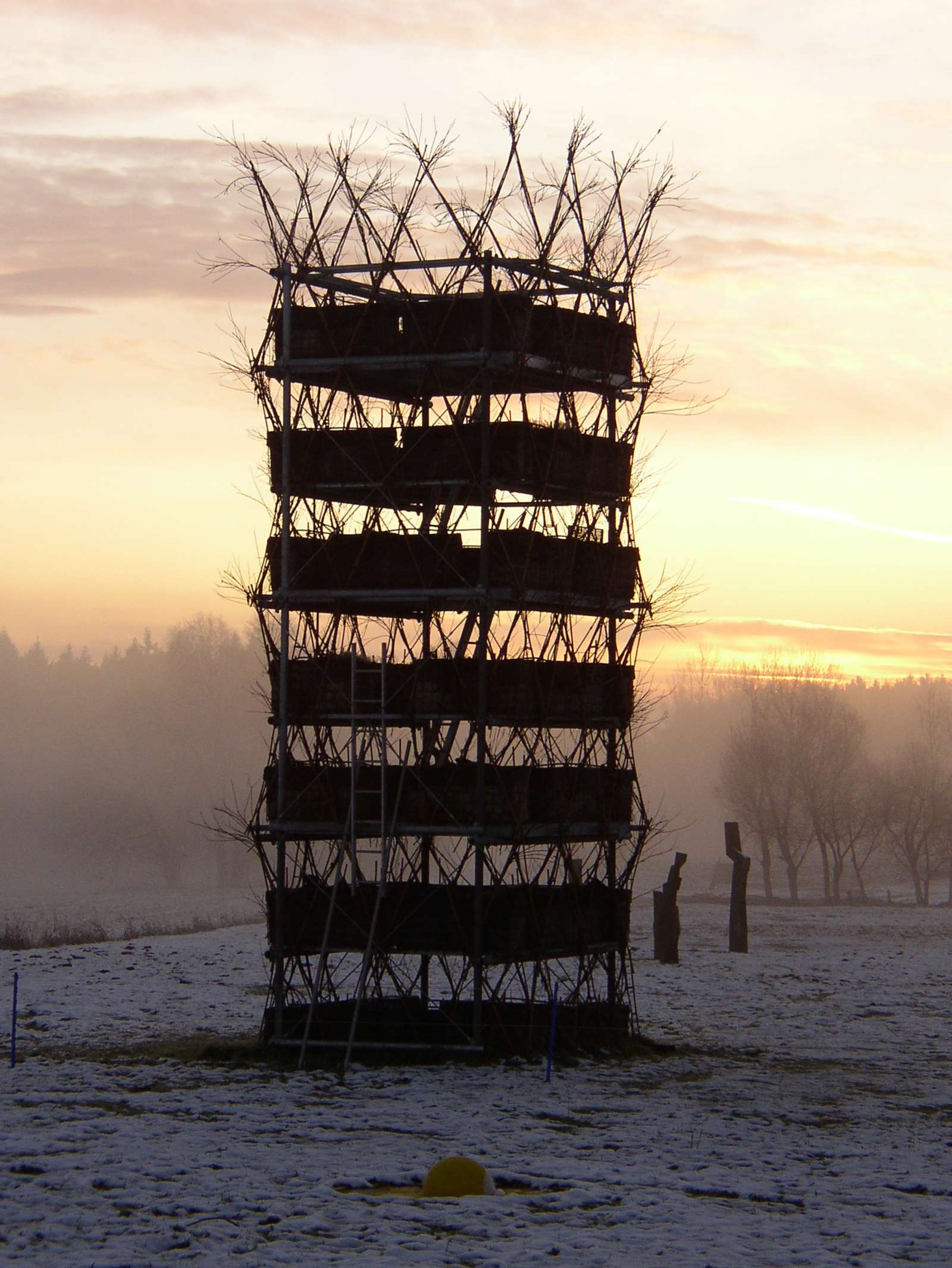 Baubotanischer Turm, im Winter 2010 (Foto: Susanne Hackenbracht)